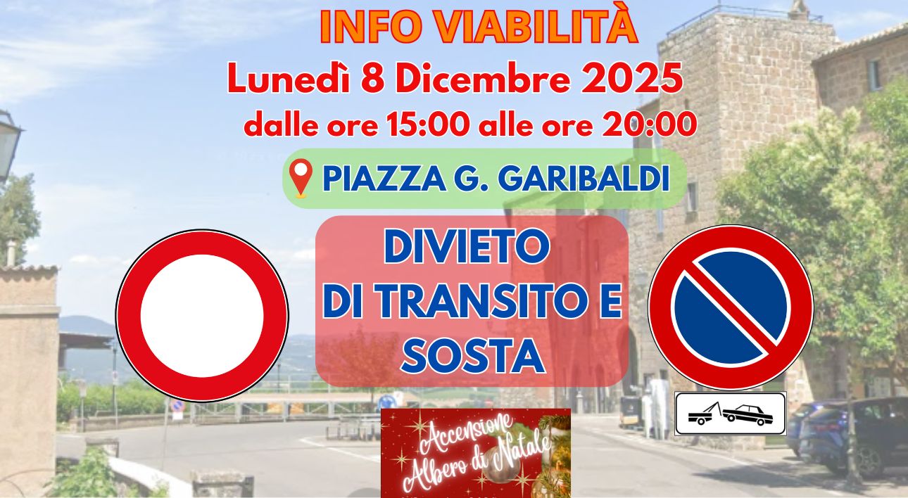 PUBBLICAZIONI SITO (13)