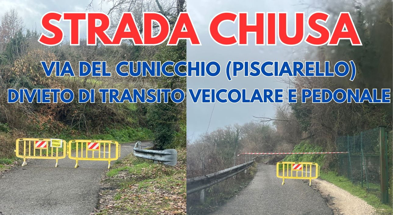 PUBBLICAZIONI SITO